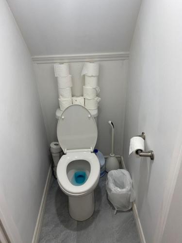 多伦多Private Single Room with Shared Bathroom 536C的一个小浴室,内设卫生间和一束毛巾