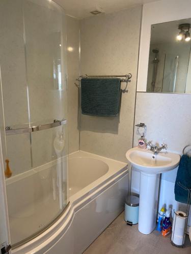 BreamOld Co Op House -Forest of Dean的带淋浴和盥洗盆的浴室