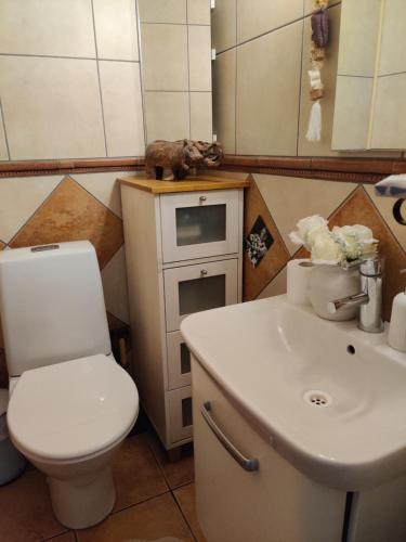 TaipalsaariOmenapolun Onni的浴室配有白色卫生间和盥洗盆。
