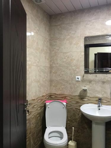安吉萨bina zgvis piras的一间带卫生间和水槽的浴室