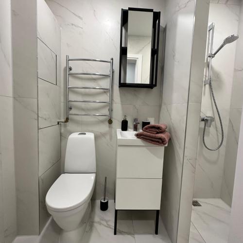 Kazlų RūdaCozy Apartment Kazlų Rūda的一间带卫生间、水槽和镜子的浴室