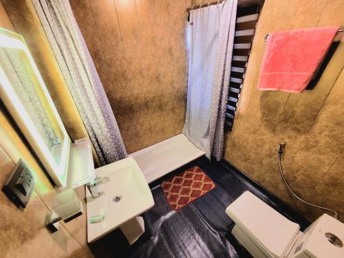 斯利那加Aziz Palace Group Of Houseboats的一间带水槽和淋浴的小浴室