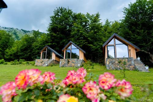 LibrazhetHANI CEPIT的两栋带窗户的小屋,位于鲜花盛开的田野