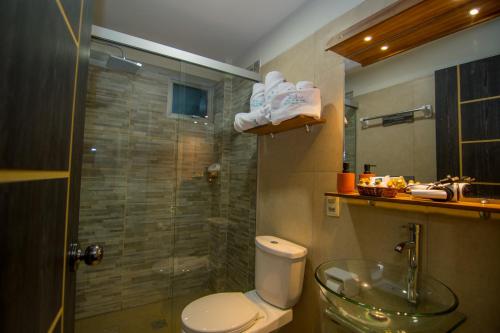 乌尤尼Cielo & Sal Hotel的一间带卫生间和玻璃淋浴间的浴室