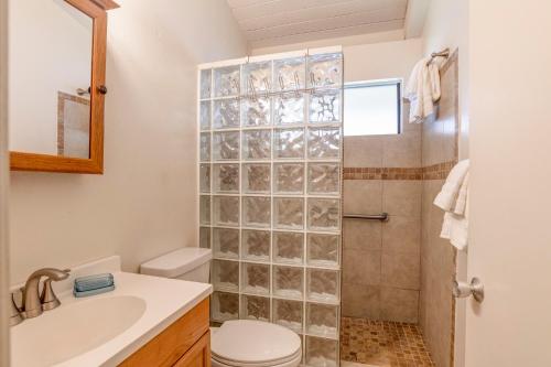 玛雷亚Hono Kai C10的带淋浴、卫生间和盥洗盆的浴室