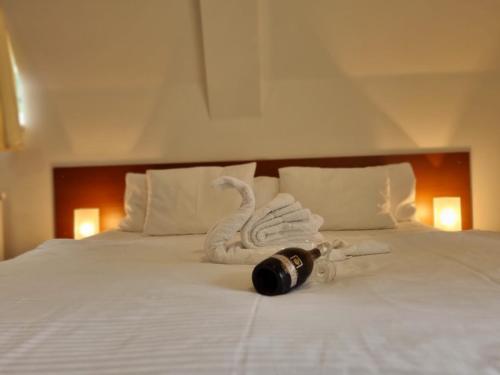 科热诺夫里斯尼查塔酒店的床上用瓶子制成的天鹅
