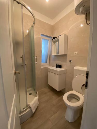 维利伊兹Sweet house of Iž的浴室配有卫生间、淋浴和盥洗盆。