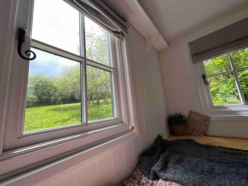 博德明Cornwall Woodland Dog Friendly Shepherd's Hut的一间卧室设有2扇窗户和1张床铺