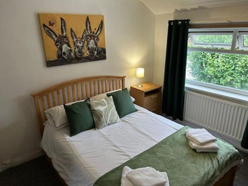 米德尔斯伯勒Entire Home的一间卧室配有一张带绿色枕头的床和一扇窗户
