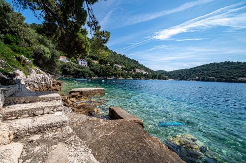 UbliApartments by the sea Ubli, Lastovo - 8344的树木的水域景观