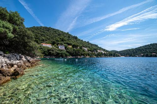 UbliApartments by the sea Ubli, Lastovo - 8344的一大片水体,有岩石和树木