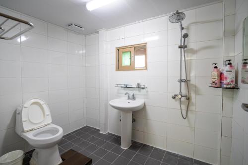 济州市济州最佳山上度假屋的一间带卫生间和水槽的浴室