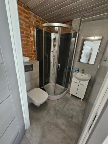 比得哥什Karpacka 8的带淋浴、卫生间和盥洗盆的浴室