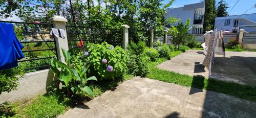 乌雷基Rio cottage apartment的种有紫色花卉和围栏的花园