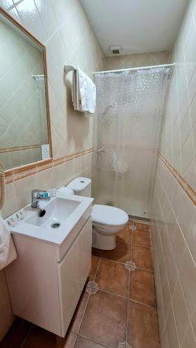 加的斯卡纳莱哈斯旅馆的一间带卫生间、水槽和镜子的浴室