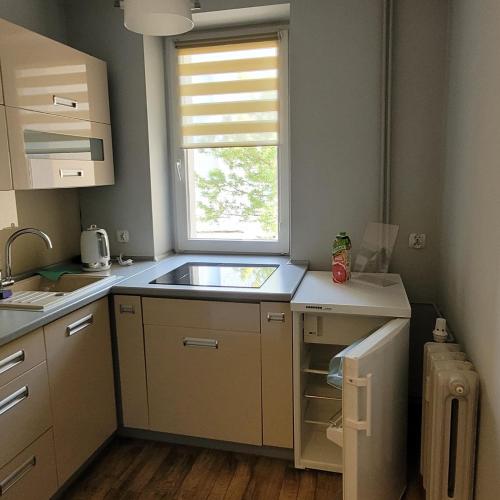 诺泰奇河畔纳克沃Apartament的一个带水槽和窗户的小厨房