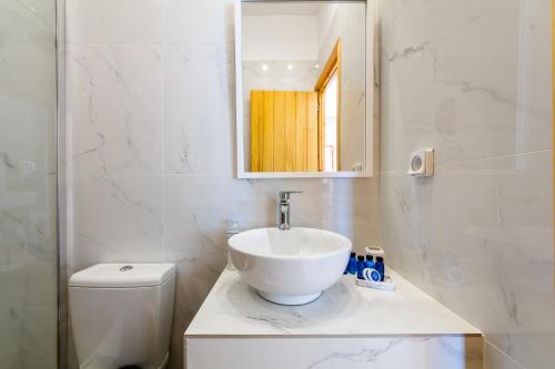 伊亚Ostria Caldera Studios的一间带水槽、镜子和卫生间的浴室