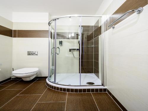 斯特日布罗亚历山大酒店的带淋浴和卫生间的浴室