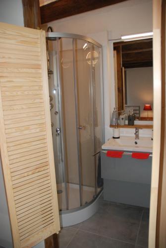 DohanB&B Le Courtil的带淋浴和盥洗盆的浴室
