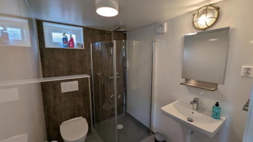 卡尔斯克鲁纳德拉格索山林小屋的带淋浴、卫生间和盥洗盆的浴室