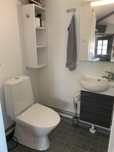 维塔萨里Lakeland BoxCabin的浴室配有白色卫生间和盥洗盆。