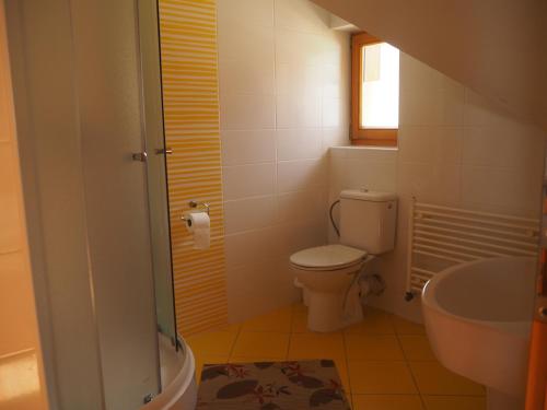 利普托斯基米库拉斯Privat Alenka的一间带卫生间和水槽的浴室