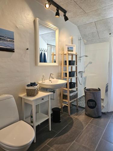 蒂霍尔姆B&B Hygge Jegindø的一间带水槽、卫生间和淋浴的浴室