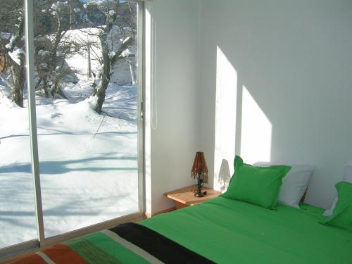 拉斯特朗卡斯安迪诺生态度假屋的一间卧室设有一张绿色的床和一个大窗户