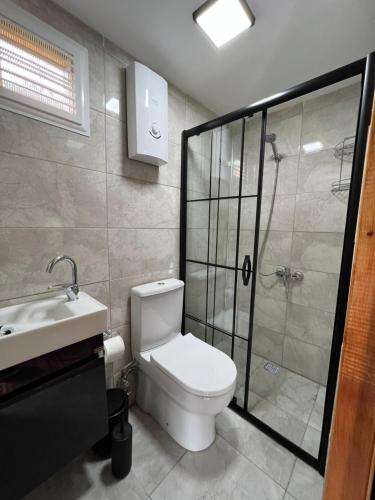 ArdeşenNoveli Tiny House的浴室配有卫生间、淋浴和盥洗盆。