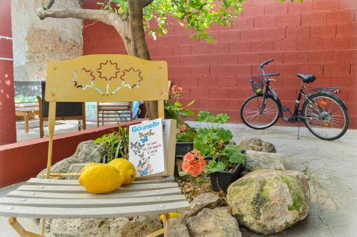 CarcagenteCasa Bienvenida La Romantica的自行车旁的长凳上摆放着一本书和南瓜