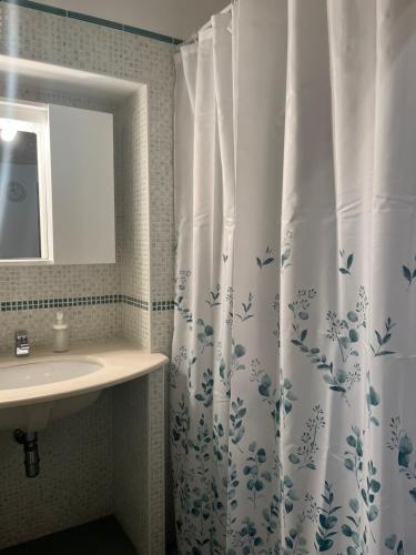 滨海波利尼亚诺Dimora dei Pellegrini的浴室配有淋浴帘和盥洗盆。