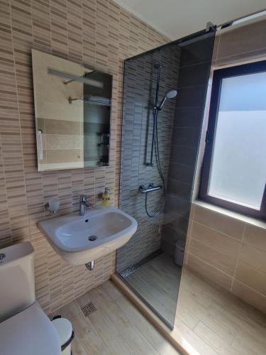 内塞伯尔Flowers Apartments的一间带水槽、淋浴和卫生间的浴室