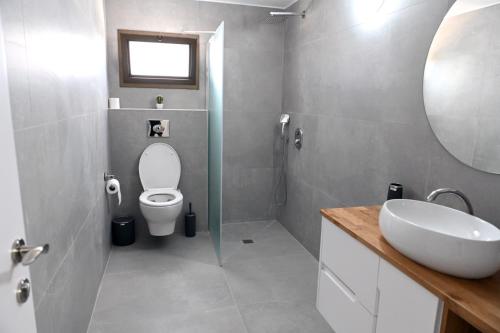 贝特谢安K.suites סוויטות בוטיק的一间带卫生间、水槽和镜子的浴室