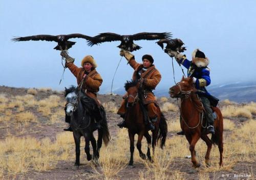 Ak-TerekRoyal Ak-Terek Issyk-kul的一群人骑着鸟儿骑马