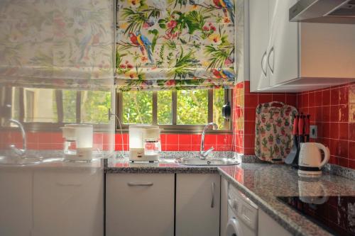 塞维利亚Ramón y Cajal by TheGoodTourist的带两个水槽和窗户的厨房