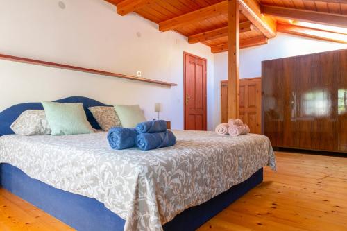 托尔明Country House Lastovka的一间卧室配有一张带蓝色枕头的床。