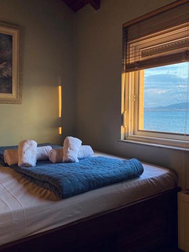SkálaLuxury Beach Villa的一张带蓝色毯子和窗户的床