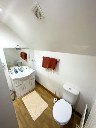 巴利卡斯尔Clare Forest Apartment的浴室配有白色卫生间和盥洗盆。