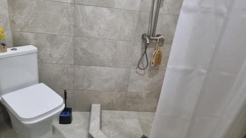 博尔若米My House的带淋浴、卫生间和浴帘的浴室