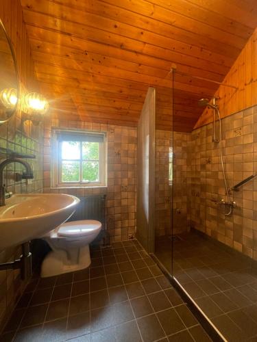 Den HamUnieke Twentse boerderij - 4 bedrooms & huge private garden的浴室配有卫生间、盥洗盆和淋浴。