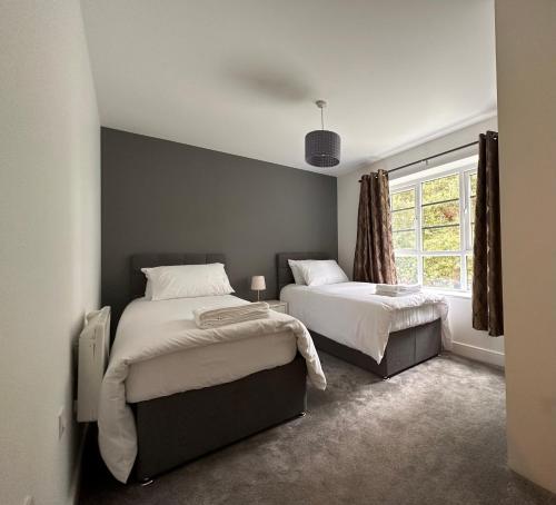 法恩伯勒Luxury Apartments - Wallis Square, Farnborough的一间卧室设有两张床和窗户。