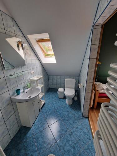 PłaskaSosnowy Młodnik的一间带水槽和卫生间的浴室