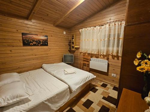 Căpăţîneni-PămînteniWHITE HOUSE, Vidraru的一间小卧室,配有一张床和电视