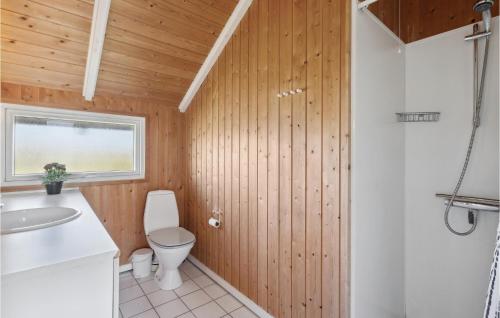 哈夫維格Pet Friendly Home In Hvide Sande With House Sea View的一间带卫生间和水槽的浴室