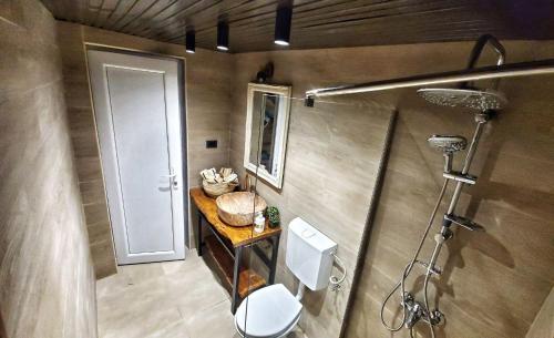 乌尔齐尼Coratina Cottage的一间带卫生间和淋浴的小浴室
