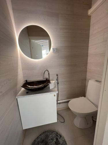 耶姆赛Himosranta Suite with sauna的一间带水槽、卫生间和镜子的浴室