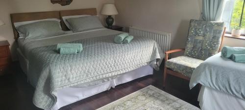 KeshFiddlers Cottage的一间卧室配有一张带两个枕头的床