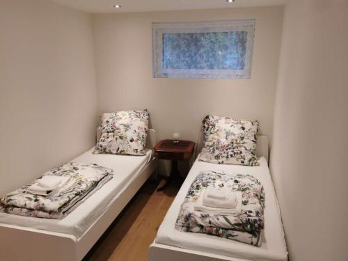 因特拉肯FeWo Interlaken的小房间设有两张床和窗户