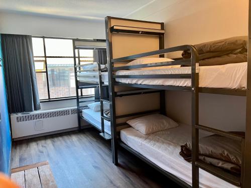 温哥华HI Vancouver Downtown - Hostel的宿舍间设有双层床和窗户。