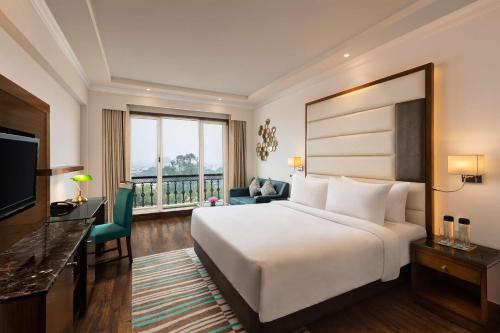 斋浦尔斋浦尔市中心丽筠酒店的酒店客房配有一张床、一张书桌和一台电视。